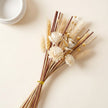 Great Plains Reed Diffuser Sticks, 9