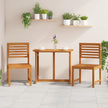 2 St Tuinstoel Massief Acaciahout Bruin