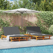 Ligstoel Massief Acacia Hout Bruin