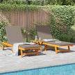 Ligstoel Massief Acacia Hout Bruin