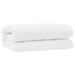Deken Set Met Kussen 2 St Wit Microvezel