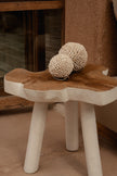 The Organic Side Table - Natural White