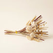 Great Plains Reed Diffuser Sticks, 9